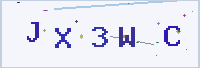 보안 문자